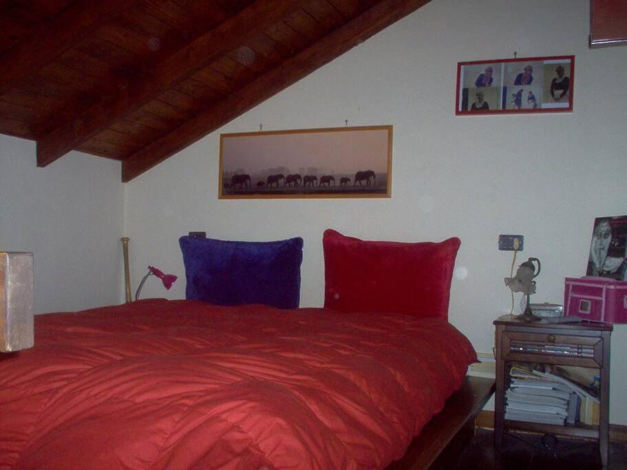 Laura's Brother - Close To St. John's Basilica Appartement *